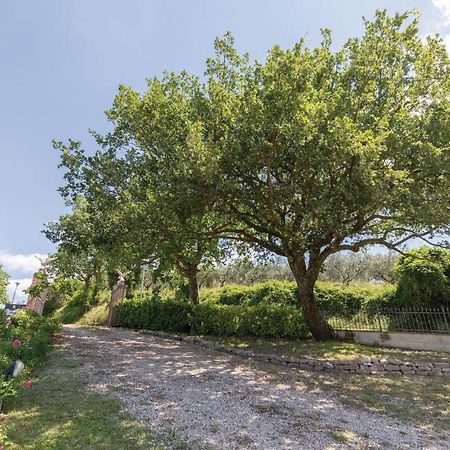 Amazing Apartment In Giano Dellumbria Pg Giano dell'Umbria Luaran gambar